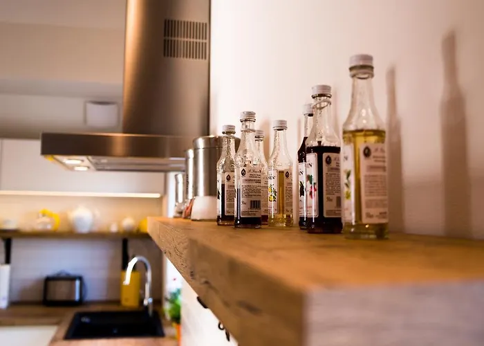 杰里特科瓦公寓 公寓 *